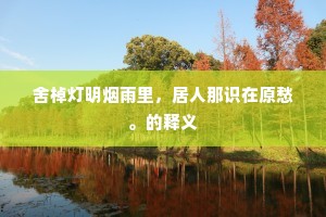 舍棹灯明烟雨里，居人那识在原愁。的释义