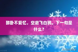 醉卧不复忆，空庭飞白鸥。下一句是什么？