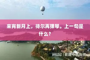 来宵新月上，待尔再弹琴。上一句是什么？