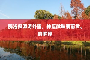 鸥浴似添涛外雪，林疏微映菊前黄。的解释