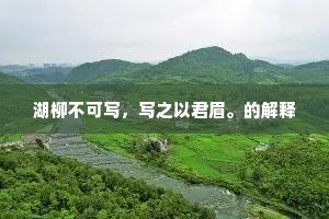 湖柳不可写，写之以君眉。的解释