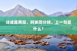 诗成裁两筒，阿弟同分持。上一句是什么？