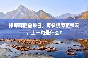 棣萼辉庭曾映日，琼枝绕膝更参天。上一句是什么？