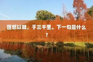 匪怒以棘，于三千里。下一句是什么？