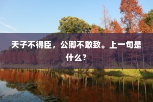 天子不得臣，公卿不敢致。上一句是什么？