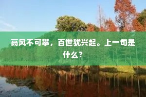 高风不可攀，百世犹兴起。上一句是什么？