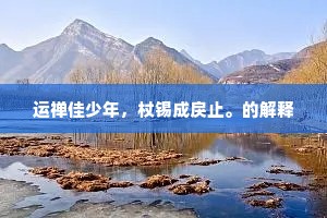 运禅佳少年，杖锡成戾止。的解释