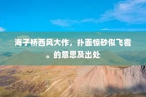 海子桥西风大作，扑面惊砂似飞雹。的意思及出处