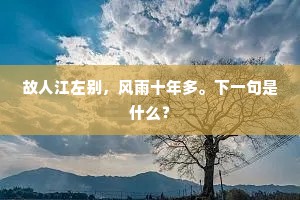 故人江左别，风雨十年多。下一句是什么？