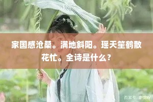 家国感沧桑。满地斜阳。瑶天笙鹤散花忙。全诗是什么？