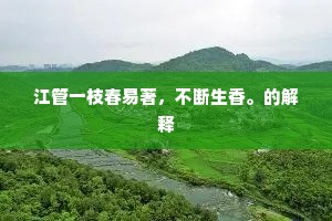 江管一枝春易著，不断生香。的解释
