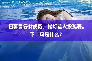 日暮畏行豺虎陌，松灯苣火投孤驿。下一句是什么？