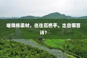 嗟哉栋梁材，往往厄樵手。出自哪首诗？