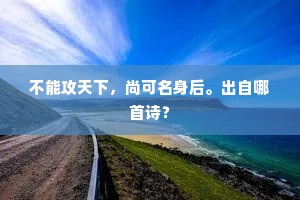 不能攻天下，尚可名身后。出自哪首诗？