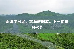 无谓学巳足，大海难掬漱。下一句是什么？