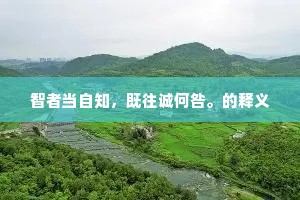 智者当自知，既往诚何咎。的释义