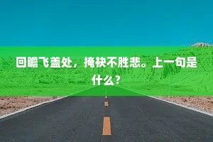 回瞻飞盖处，掩袂不胜悲。上一句是什么？