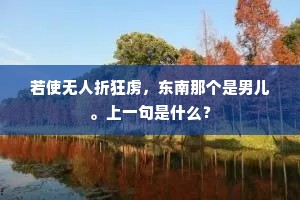 若使无人折狂虏，东南那个是男儿。上一句是什么？