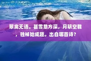 翠禽无语。甚雪意方深，月明空载，独棹始成趣。出自哪首诗？