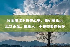 只要皱纹不长在心里，我们就永远风华正茂。成年人，不是需要你有多少过人之处，能扛事情就是才华横溢。