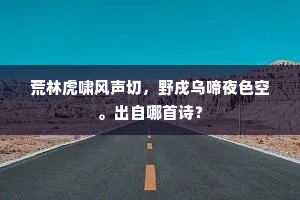 荒林虎啸风声切，野戍乌啼夜色空。出自哪首诗？
