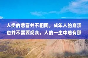 人类的悲喜并不相同，成年人的崩溃也并不需要观众。人的一生中总有那么一段时光，你身处其中会觉得无比艰辛和漫长，可是等你突破了那个极限，站在一个更高层次回头看时，你会忘了以前的艰辛和困难，记住的只有弥足珍