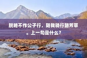脱略不作公子行，随我骑行踏芳草。上一句是什么？