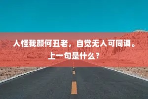 人怪我颜何丑老，自觉无人可同调。上一句是什么？