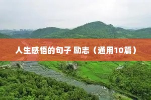 人生感悟的句子 励志（通用10篇）