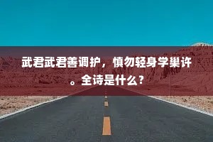 武君武君善调护，慎勿轻身学巢许。全诗是什么？
