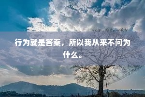 行为就是答案,所以我从来不问为什么。 行为就是答案,所以我从来不问为什么。