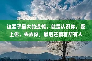 这辈子最大的遗憾，就是认识你，爱上你，失去你，最后还瞒着所有人，继续爱着你。