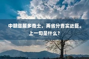 中朝缀履多奇士，两省分曹实近臣。上一句是什么？