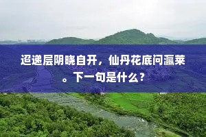 迢递层阴晓自开，仙丹花底问瀛莱。下一句是什么？
