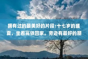 拥有过的最美好的片段:十七岁的盛夏，坐着高铁回家。旁边有最好的朋友，站点有父母在等候手机里有和初恋分享的窗外晚霞而落日在车窗外一遍遍掠过。