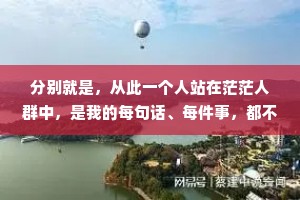 分别就是，从此一个人站在茫茫人群中，是我的每句话、每件事，都不能再说给你听。