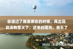 你错过了我需要你的时候，再出现就没有意义了，迟来的阳光，救不了枯萎的向日葵。