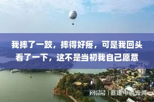 我摔了一跤，摔得好疼，可是我回头看了一下，这不是当初我自己愿意跳进来的吗?我站了好久，久到无法释怀，一开始我以为这里是花，是路，是家，可是到现在我满身疲惫，伤痕累累，才知道这是劫，是坑，是深渊。