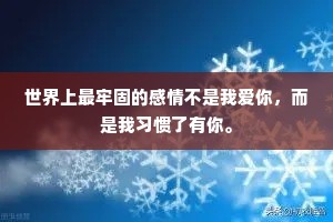 世界上最牢固的感情不是我爱你，而是我习惯了有你。