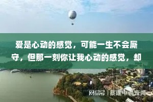 爱是心动的感觉，可能一生不会厮守，但那一刻你让我心动的感觉，却一生不会消失了，每次回忆起来，如久置的红酒般甘醇。