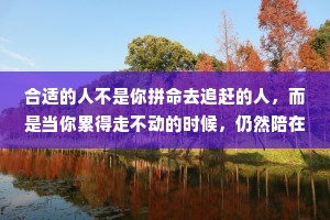 合适的人不是你拼命去追赶的人，而是当你累得走不动的时候，仍然陪在你身边想拉起你一起走的人。