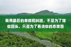 我用最后的卑微和纠缠，不是为了赌你回头，只是为了看清你的态度而攒够失望，为了以后想起你时，不后悔，不遗憾。