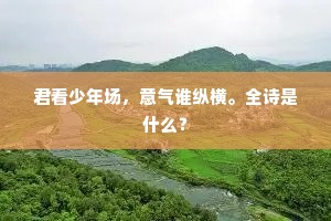 君看少年场，意气谁纵横。全诗是什么？