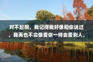 对不起啊，我记得我好像和你说过，我再也不会像爱你一样去爱别人，其实，是骗你的。在遇到下一个人的时候，我会避开所有和你感情里的雷区，把你从来没有得到过的最好的我，交给他。