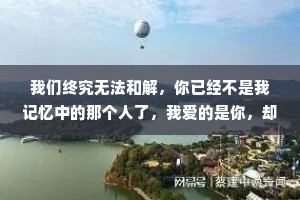 我们终究无法和解，你已经不是我记忆中的那个人了，我爱的是你，却又不是你。