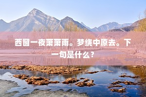 西窗一夜萧萧雨。梦绕中原去。下一句是什么？