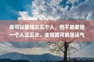 你可以爱错三五个人，但不能爱错一个人三五次。走错路可能是运气不好，但总往一个坑里跳就是活该。