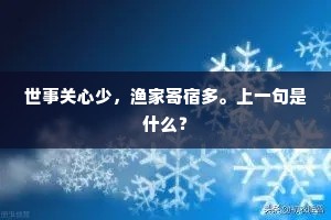 世事关心少，渔家寄宿多。上一句是什么？