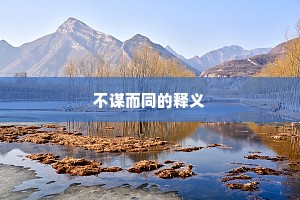 不谋而同的释义