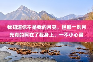 我知道你不是我的月亮，但那一刻月光真的照在了我身上，一不小心误入了你的心境，养了眼，醉了心，许了愿，甚是难忘。